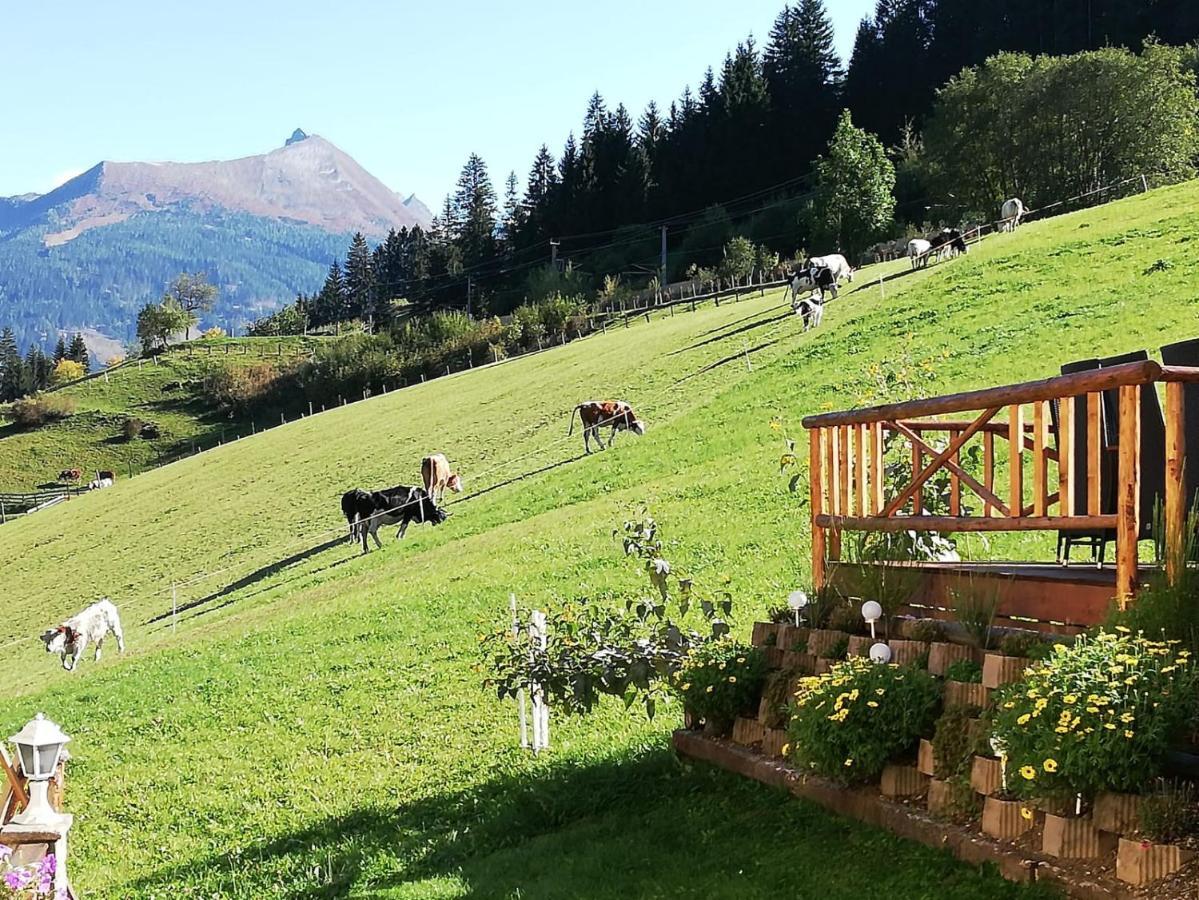 Urlaub Am Krausberghof, Apartment Mit Balkon Und Parkplatz, Inmitten Der Natur, Sauna Und Infrarotkabine, Kostenfreie Kaffeekapseln, 6 Fahrminuten Zur Alpentherme Gastein Und Zur Schlossalmbahn, Spielplatz Bad Hofgastein Esterno foto