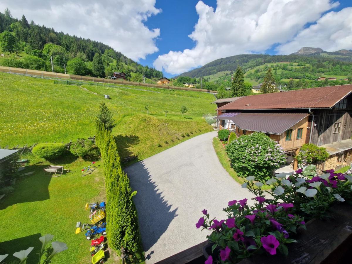Urlaub Am Krausberghof, Apartment Mit Balkon Und Parkplatz, Inmitten Der Natur, Sauna Und Infrarotkabine, Kostenfreie Kaffeekapseln, 6 Fahrminuten Zur Alpentherme Gastein Und Zur Schlossalmbahn, Spielplatz Bad Hofgastein Esterno foto