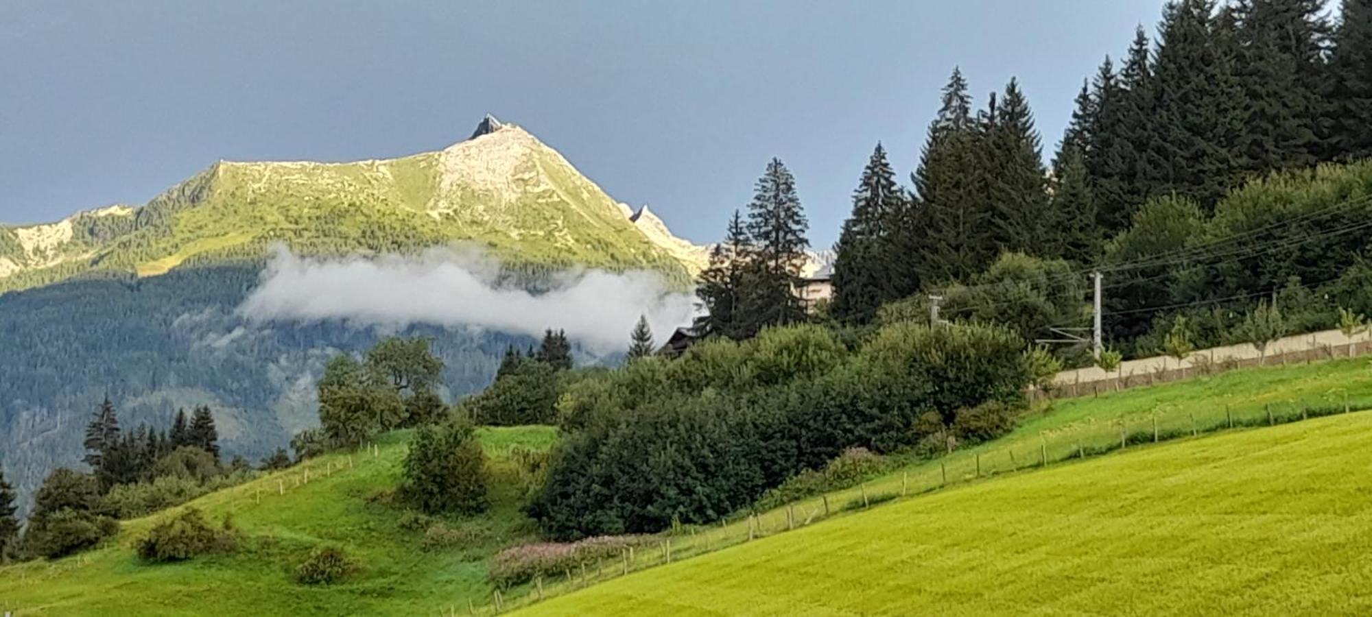 Urlaub Am Krausberghof, Apartment Mit Balkon Und Parkplatz, Inmitten Der Natur, Sauna Und Infrarotkabine, Kostenfreie Kaffeekapseln, 6 Fahrminuten Zur Alpentherme Gastein Und Zur Schlossalmbahn, Spielplatz Bad Hofgastein Esterno foto