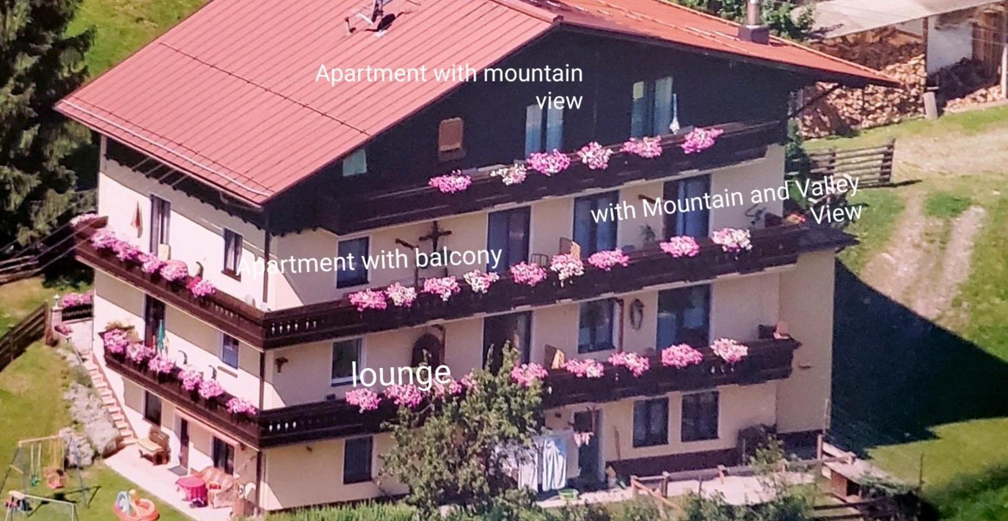 Urlaub Am Krausberghof, Apartment Mit Balkon Und Parkplatz, Inmitten Der Natur, Sauna Und Infrarotkabine, Kostenfreie Kaffeekapseln, 6 Fahrminuten Zur Alpentherme Gastein Und Zur Schlossalmbahn, Spielplatz Bad Hofgastein Esterno foto
